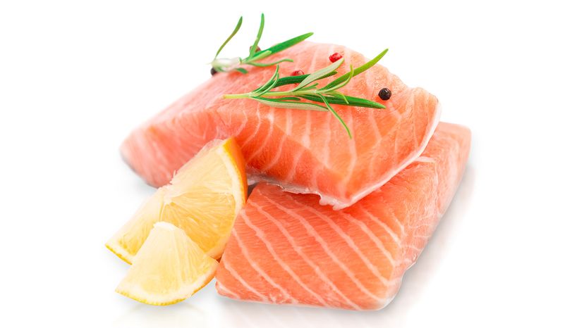 salmon