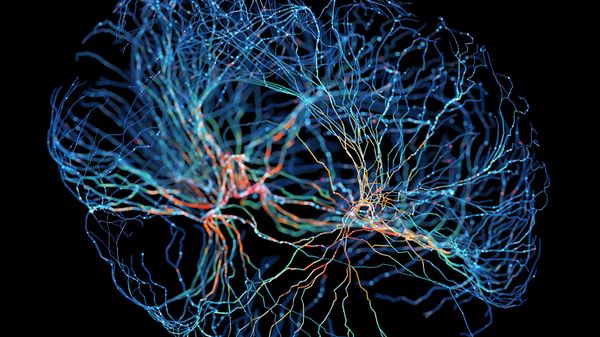 System of neurons with glowing connections on black background