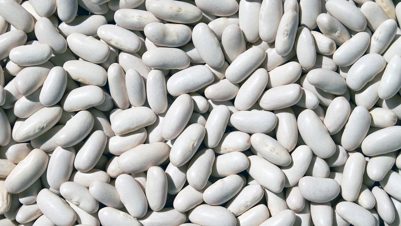 cannellini beans