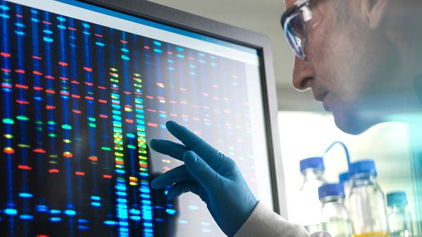 A man in protective glasses examines DNA results on a computer screen