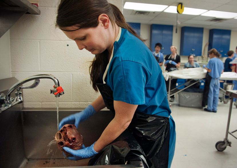 These Georgetown University medical students used donated cadavers in their anatomy class in 2011. Bill O'Leary/The Washington Post via Getty Images