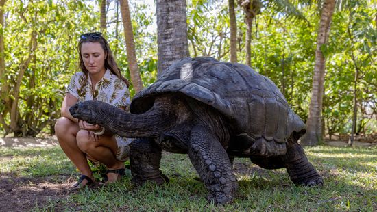 A Giant Tortoise Lives in the 'Galápagos of the Indian Ocean'