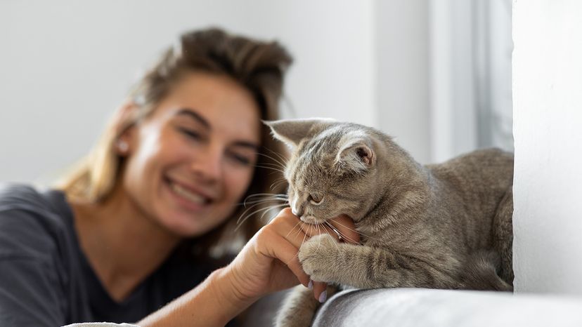 Woman playing on the sofa with her cat