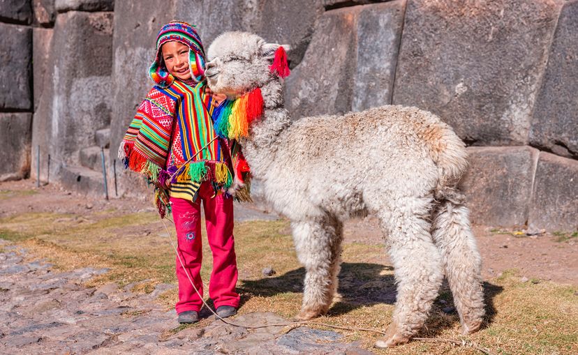 A child in a colorful poncho and pink pants with an alpaca