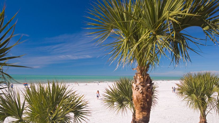 10 Best Beaches in Florida Where the Sunshine State, Well, Shines