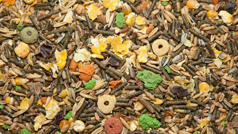 rabbit food