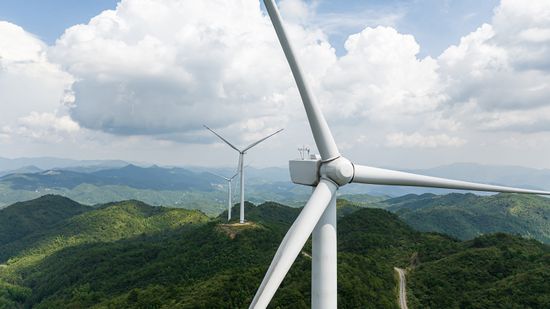 How Many Birds Are Killed by Wind Turbines, Really?