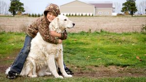boy hugging dog