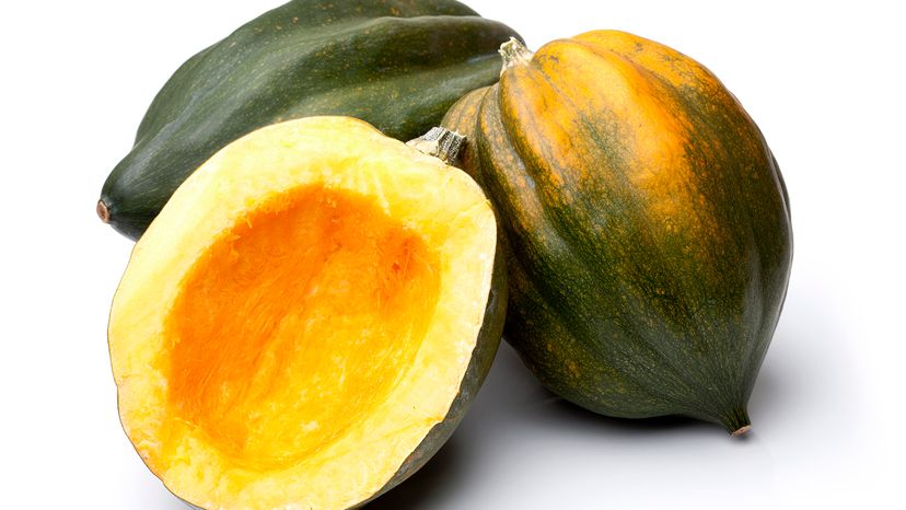 Acorn squash