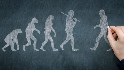 Did Humans Evolve From Monkeys? Human Evolution Explained - Vimarsana News