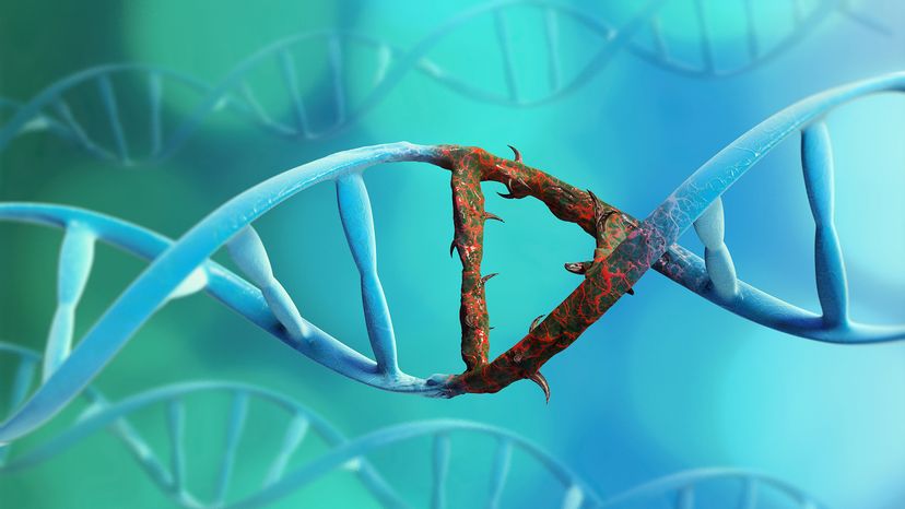 Illustration of DNA chain with a mutation on one fragment.