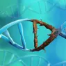What Causes Mutations? Piecing Together DNA's Puzzling Edits