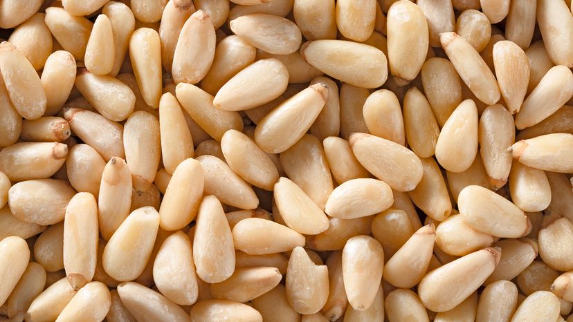 Pine nuts