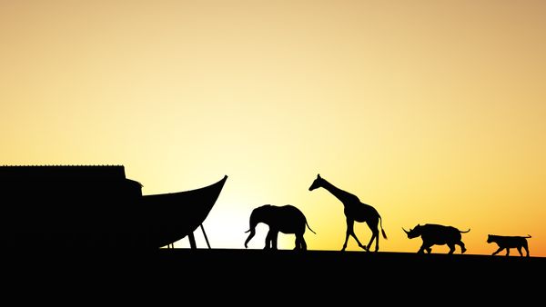 Noahs Ark silhouette with animals walking towards it. Includes an elephant, giraffe,rhino and tiger.