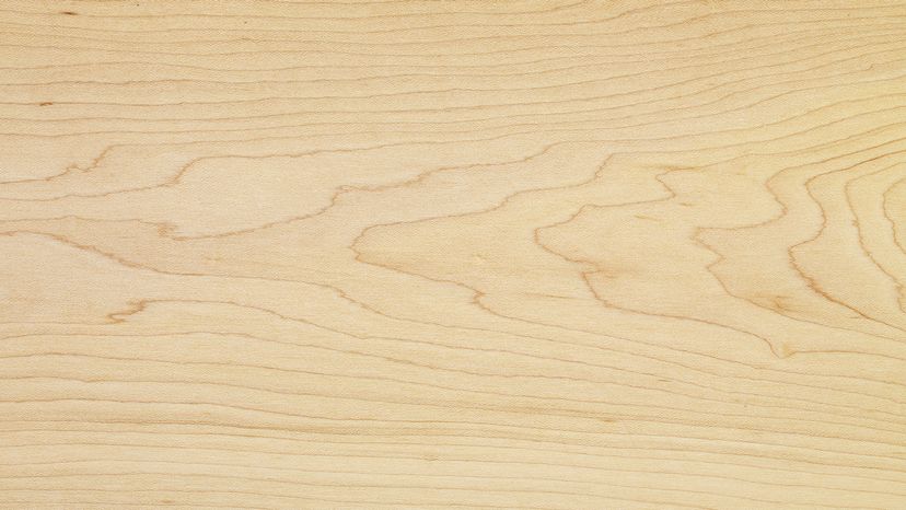 Maple wood
