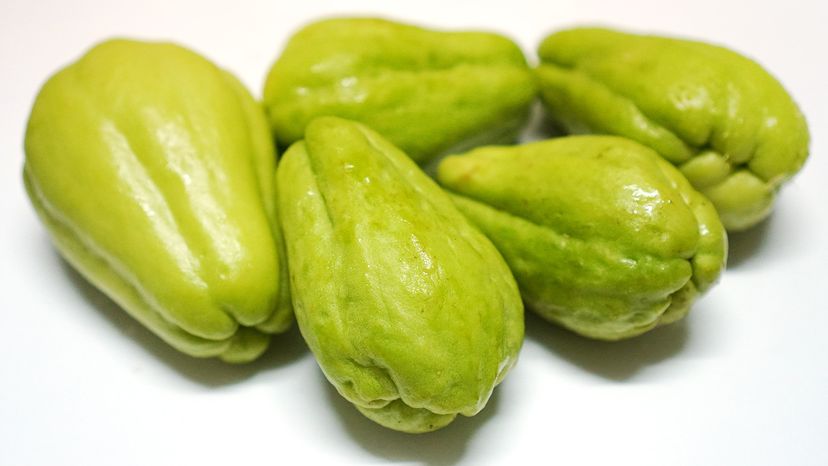 Chayote squash