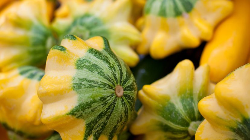 Pattypan squash
