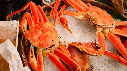 Snow Crab: A High-protein Delight Thriving in Cold Waters