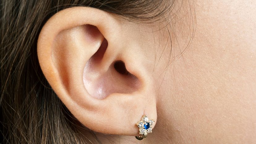 Standard lobe piercing