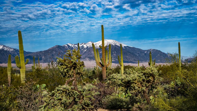 Blanca Peak