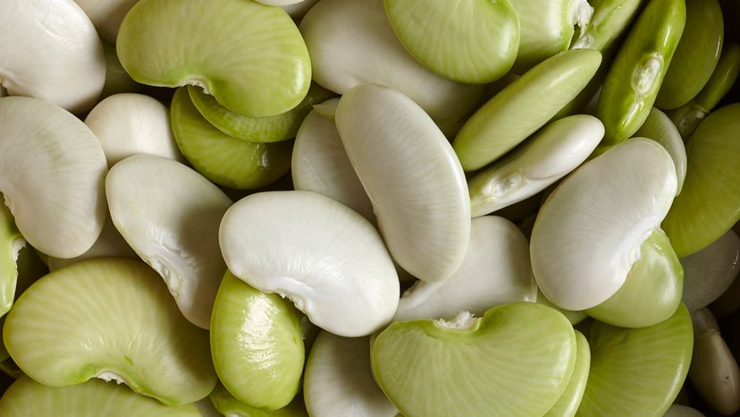 Lima beans