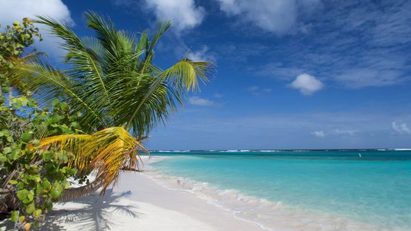 10 Puerto Rico Beaches Perfect for Play and Relaxation