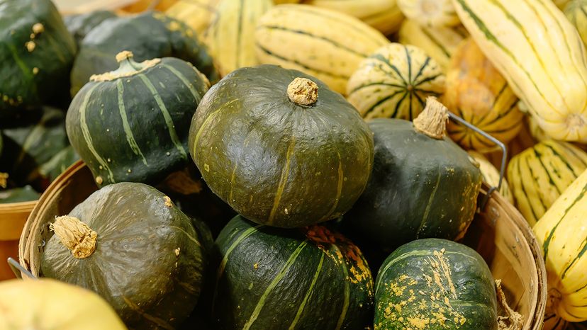 Buttercup squash