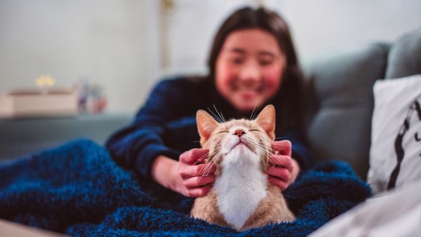 When Were Cats Domesticated? Did Cats Domesticate Us?