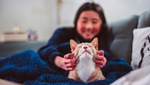 Girl smiling while petting a happy cat