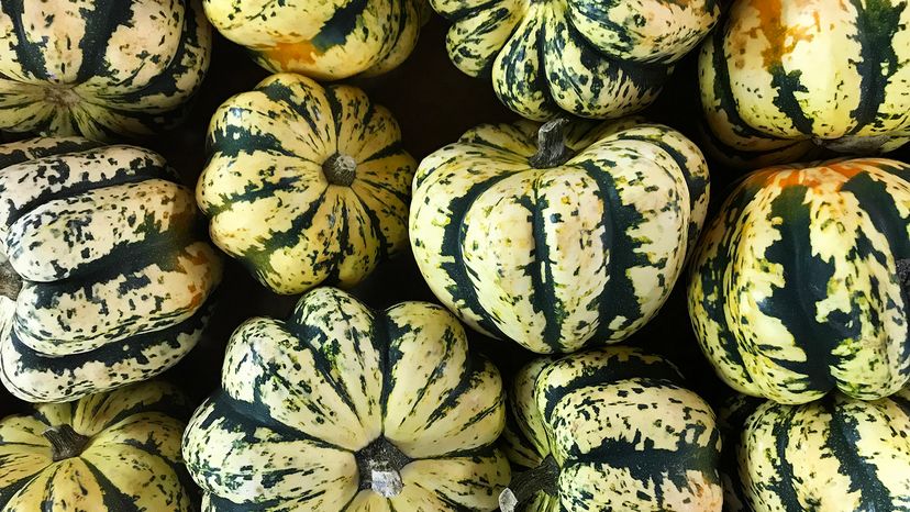 Sweet dumpling squash