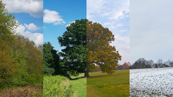 A landscape photo with four vertical filters, each representing a different season