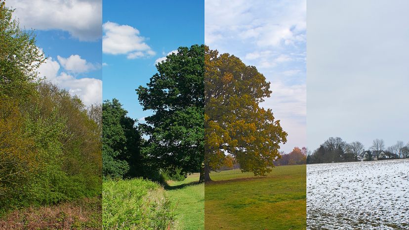 A landscape photo with four vertical filters, each representing a different season