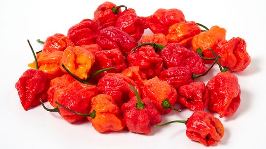 The Hottest Pepper in the World Is Another Puckerbutt Creation