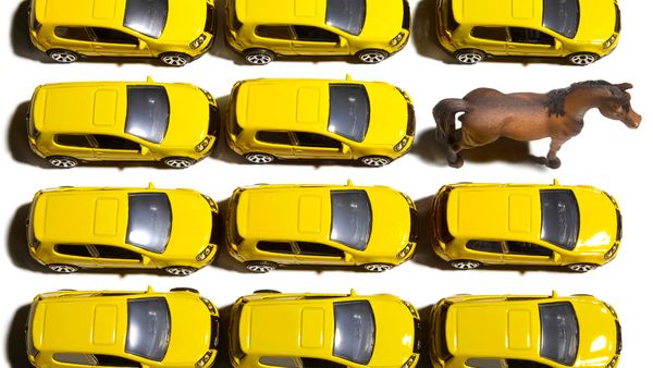 One toy horse among rows of yellow toy cars
