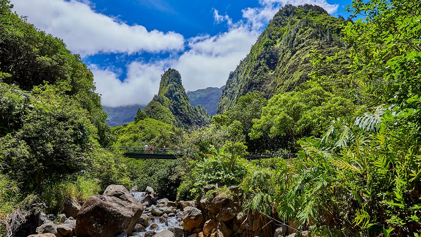 Iao Valley State Monument
