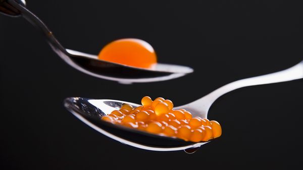 Two spoons: one with an orange sphere that looks like an egg yolk and the other with several tiny orange spheres