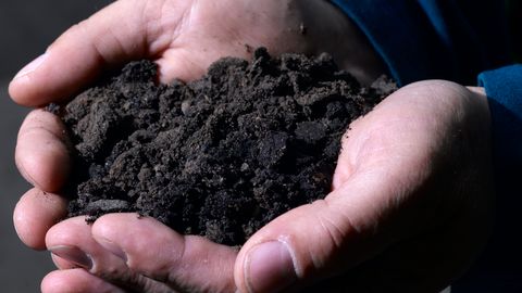 What are oil sands? | HowStuffWorks - Vimarsana News