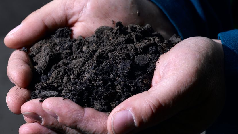 Two hands cupped to hold sand as dark as soil