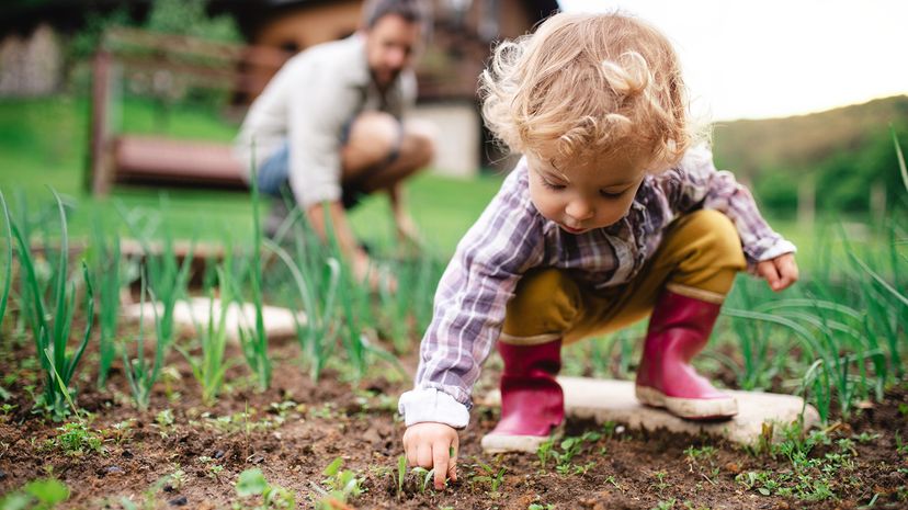 Toddler crouching in a garden with an adult in the background