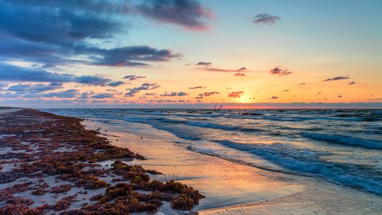5 Texas Beaches for Family-friendly Summer Fun