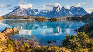 Plants and lake in foreground with snowcapped mountains and cloudy sky behind