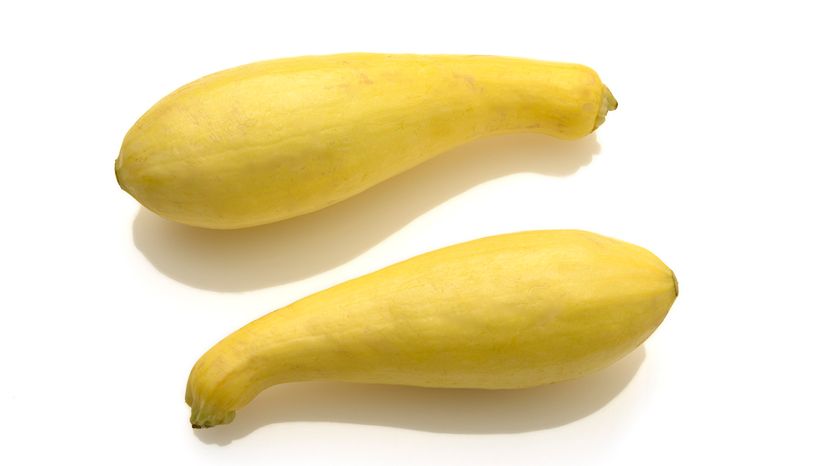 Crookneck squash