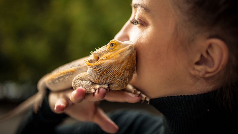 Woman holding a bearded dragon near her cheek