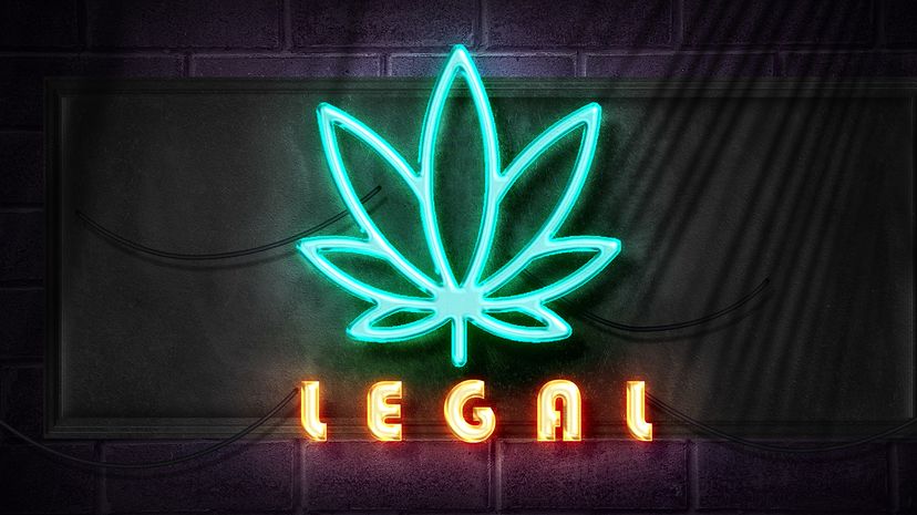 marijuana symbol  with legal text in neon lights