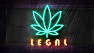 marijuana symbol  with legal text in neon lights