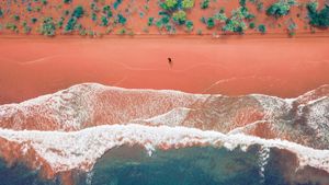 High angle view of a vibrant sandy beach