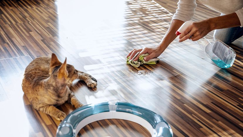 Pet owner cleans floor