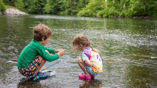 10 Least Diverse States in the U.S.