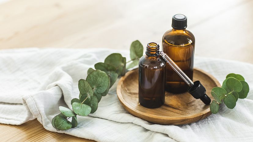 Eucalyptus essential oil