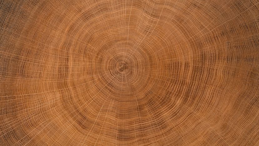 Oak
